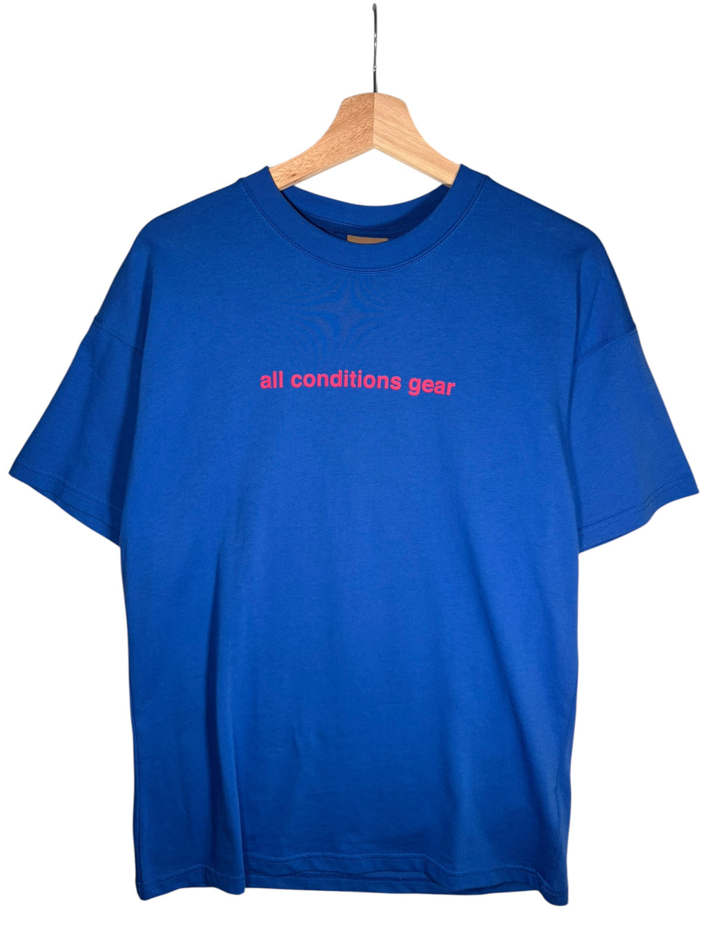 Nike ACG Premium BNWT Graphic Blue Tee