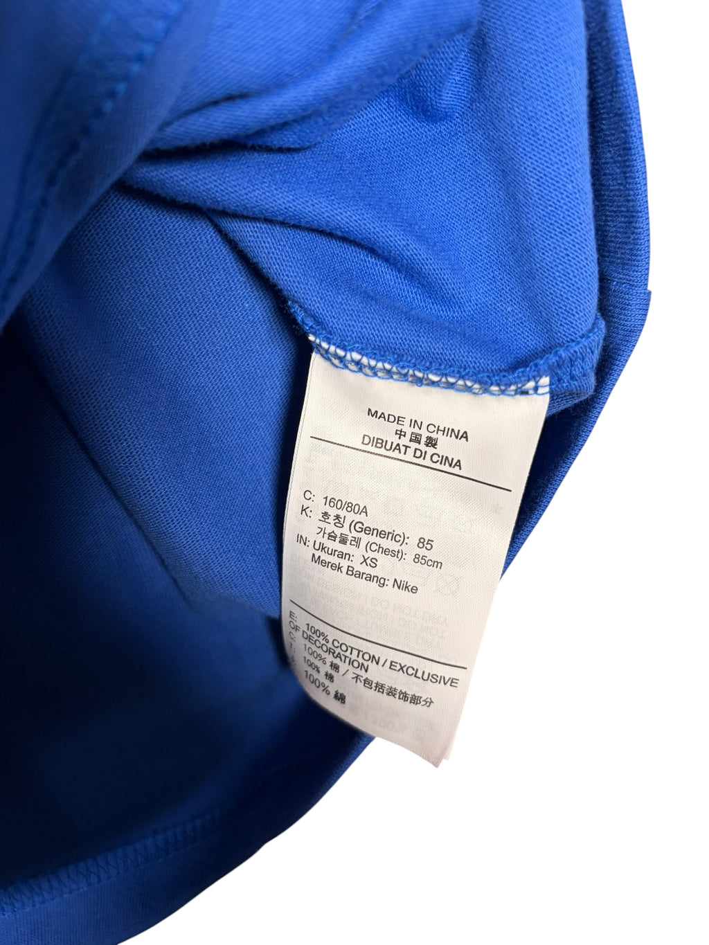 Nike ACG Premium BNWT Graphic Blue Tee