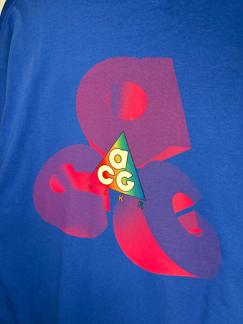 Nike ACG Premium BNWT Graphic Blue Tee