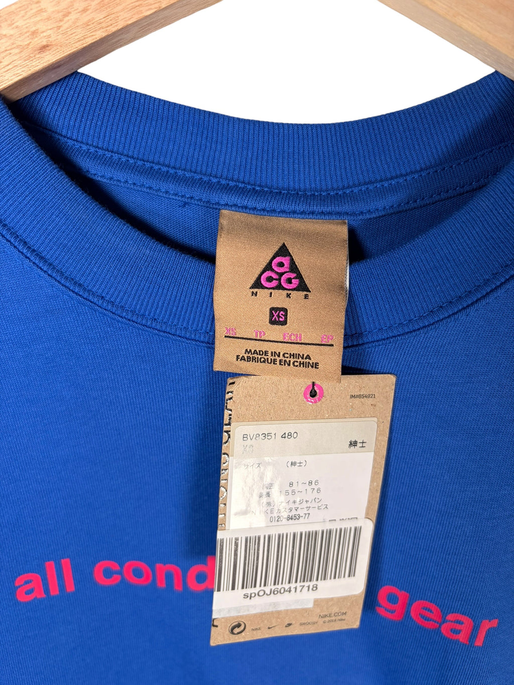 Nike ACG Premium BNWT Graphic Blue Tee