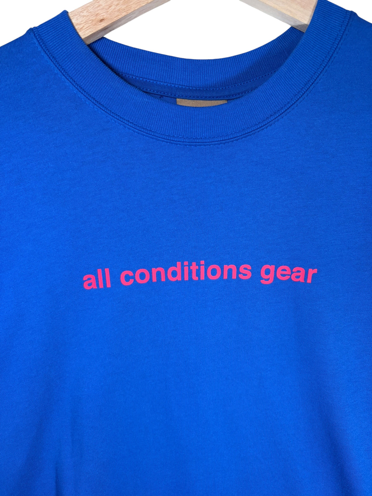 Nike ACG Premium BNWT Graphic Blue Tee